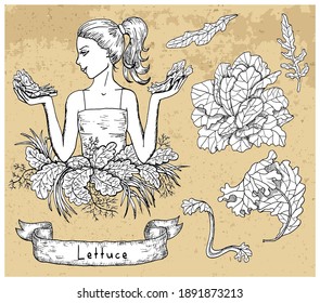 Design set with beautiful woman holding lettuce and vegetables over textured background. Hand drawn engraved vector illustration, botanical collection, healthy eating, vegan and vegetarian concept. 