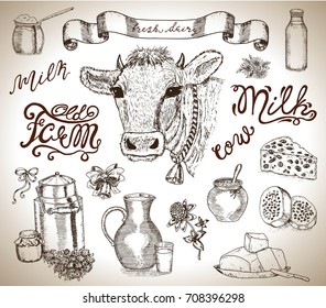 Design set with cow head, milk, dairy products, banner and lettering. Vintage vector engraving, hand drawn design illustrations for label, poster. Rural farm concept