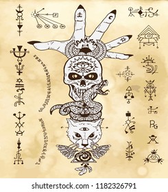 Design set with skull, cat, snake and open palm, with gohic and mystic symbols on old texture background. Esoteric, occult and Halloween concept, mystic vector illustrations for music album, book cove