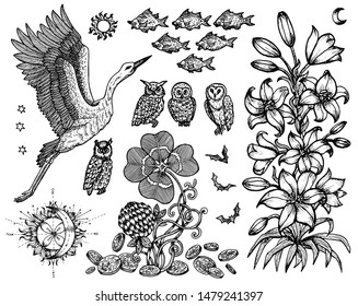 Design set with stork, lily, fish and nature symbols isolated on white. Vector engraved illustration in gothic and mystic style. No foreign language, all symbols are fantasy