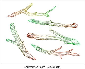 Design set with wood twigs. Tree branches in hand drawn style. Color contour sketch on white  background