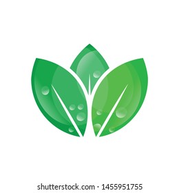 Design shape leaf logo and abstract organic leaf logo. Leaf logo eco graphic creative template. Environment decoration modern leaf emblem