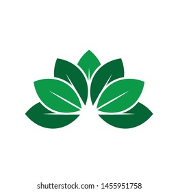 Design shape leaf logo and abstract organic leaf logo. Leaf logo eco graphic creative template. Environment decoration modern leaf emblem