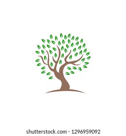 Design shape tree logo and abstract organic leaf vector design