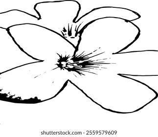 Design sketsa white flowers no color 