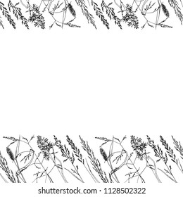 design with spikelets , hand-drawn vector illustration