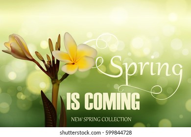 Design with spring is coming Lettering for banner, Card for spring season with Realistic 3D Frangipani. Vector 
