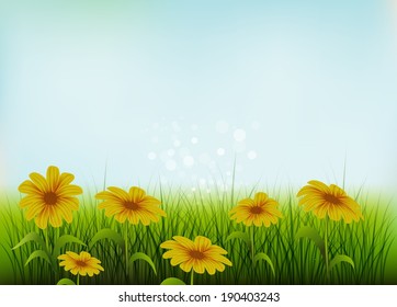 Design summer background with flowers and grass.