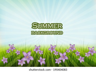 Design summer background with flowers and grass.