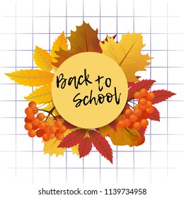 Design template Back to School with branch of rowan and maple leaves for banner or poster. Vector Illustration.