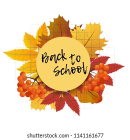 Design template Back to School with branch of rowan and maple leaves for banner or poster. Vector Illustration.