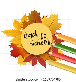 Design template Back to School with maple and rowan leaves for banner or poster. Colorful background with cell and pencil. Vector  Illustration.