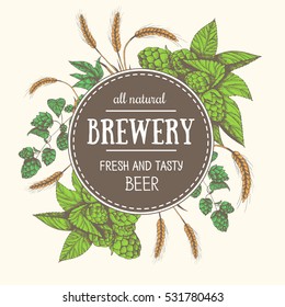 Design template for beer pub. Menu label with barley and hop. Circle concept. Hand-drawn vector illustration