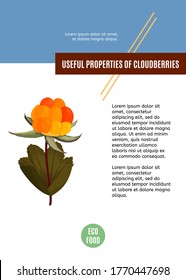 Design template for cloudberry card. Recipe, article or banner with food.