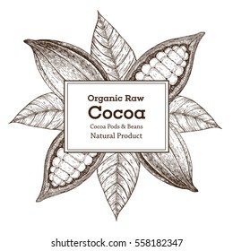 Design template with cocoa pods. Concept for advertising label.  Hand-drawn vector illustration