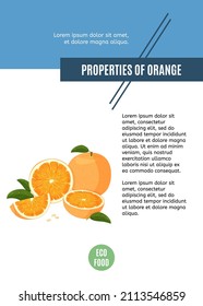 Design template of food theme article. Colorful banner with properties of orange. Healthy organic food.