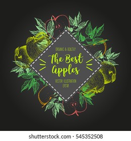 Design template for fruits market. Menu label with apples. Fresh apples hand-drawn. Vector illustration.