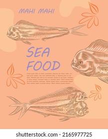 Design template with illustrations common dolphinfish in variations.