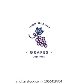 Design template logo and emblem - taste and liquid for vape - grapes. Logo in trendy linear style