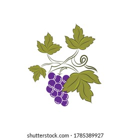 Design template logo and emblem - taste and liquid for vape - grapes. Logo in trendy linear style