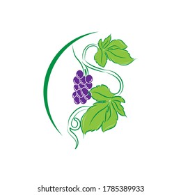 Design template logo and emblem - taste and liquid for vape - grapes. Logo in trendy linear style