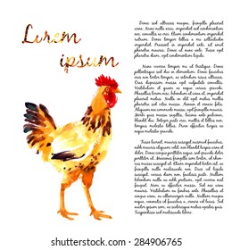 Design template with orange-red watercolor hens and roosters
