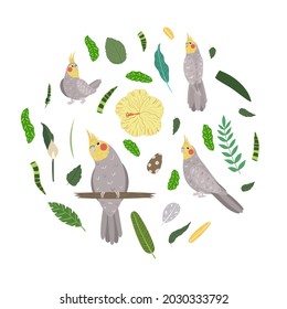 Design template with parrots in circle for kid print. Round composition of tropical birds cockatiel. Vector set of jungle life in cartoon style.