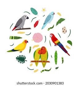 Design template with parrots in circle for kid print. Round composition of tropical birds lovebirs, macaw, african grey parrot jaco. Vector set of jungle life in cartoon style.