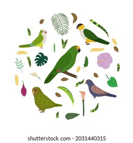 Design template with parrots in circle for kid print. Round composition of tropical birds amazon, owl parrot, broze wings, black headed, monk parakeet. Vector set of jungle life in cartoon style.