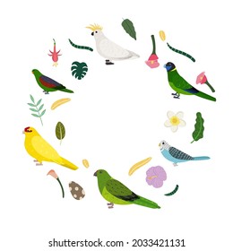 Design template with parrots in circle for kid print. Round composition of tropical birds cockatoo, kakariki and budgies. Vector set of jungle life in cartoon style.