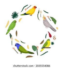 Design template with parrots in circle for kid print. Round composition of tropical birds rose ringed, pionus, neophema and sun aratinga. Vector set of jungle life in cartoon style.