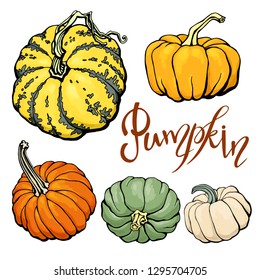 Design template print with orange, green, beige pumpkins. Vector Halloween illustration. Lettering.