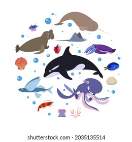 Design template with sea animal in circle for kid print. Round composition of marine animals, whale, octopus and narwhale, sea elephant. Vector set of underwater life in cartoon style.