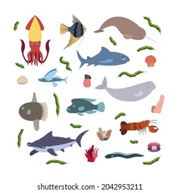 Design template with sea animal in square for kid print. Rectangle composition of marine animals, squid, hammerheand shark, beluga and lobster, narwhale. Vector set of underwater life