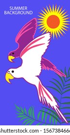 Design template of summer background with birds.  Vector Illustration