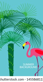 Design template for summer background. Summer poster, flyer, invitation, card. Vector Illustration