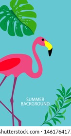 Design template of summer background. Summer poster, flyer, invitation, card. Vector Illustration