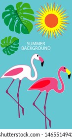 Design template of summer background. Summer poster, flyer, invitation, card. Vector Illustration