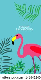 Design template of summer background. Summer poster, flyer, invitation, card. Vector Illustration