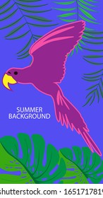 Design template of summer background. Summer poster, flyer, invitation, card. Vector Illustration