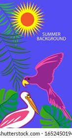 Design-Vorlage auf Sommerhintergrund. Sommerposter, Flyer, Einladung, Karte. Vektorillustration-Illustration