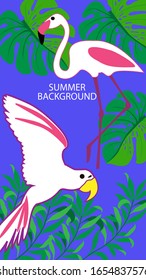 Design template of summer background. Summer poster, flyer, invitation, card. Vector Illustration