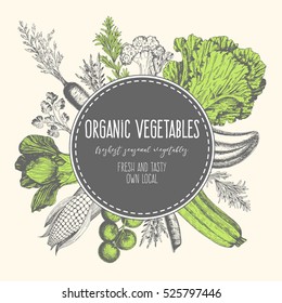 Design template for vegetables market. Menu label with organic food. Fresh vegetables hand-drawn. Vector illustration