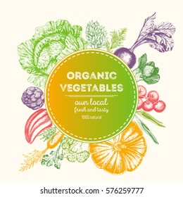 Design template for vegetables market. Menu label with organic food. Fresh vegetables hand-drawn. Vector illustration