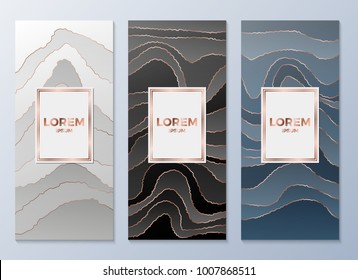 Design templates for flyers, booklets, greeting cards, invitations, packaging and advertising. Vector set packaging templates for luxury products. Vector illustration eps10.