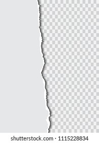 Design with torn paper. Realistic vector template for book cover, promo flyer and web sites