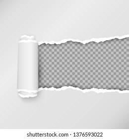 Design of torn paper strip. Torn open paper with space for text. Vector illustration