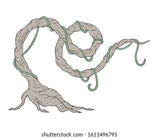 Design of tree trunk draw