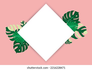 The design is trendy and exotic for the leaf monstera green of nature in the summer botanical jungle for the banner background, decoration, frame, and for illustration.