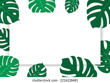 El diseño es moderno y exótico para la monastera foliar verde de la naturaleza en la jungla botánica de verano para el fondo de la bandera, la decoración, el marco y para la ilustración.